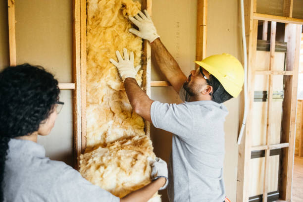 Best Soundproof Insulation  in Minor, AL